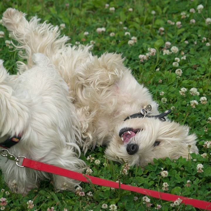 F0ff6df7 a078 41f3 945f dcaa65e692ff 1527377149366