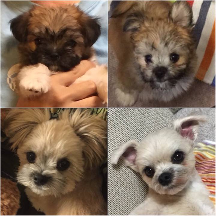 F0ff9027 4882 4ae8 ab4d 8917e4ab0ace 1634614997299