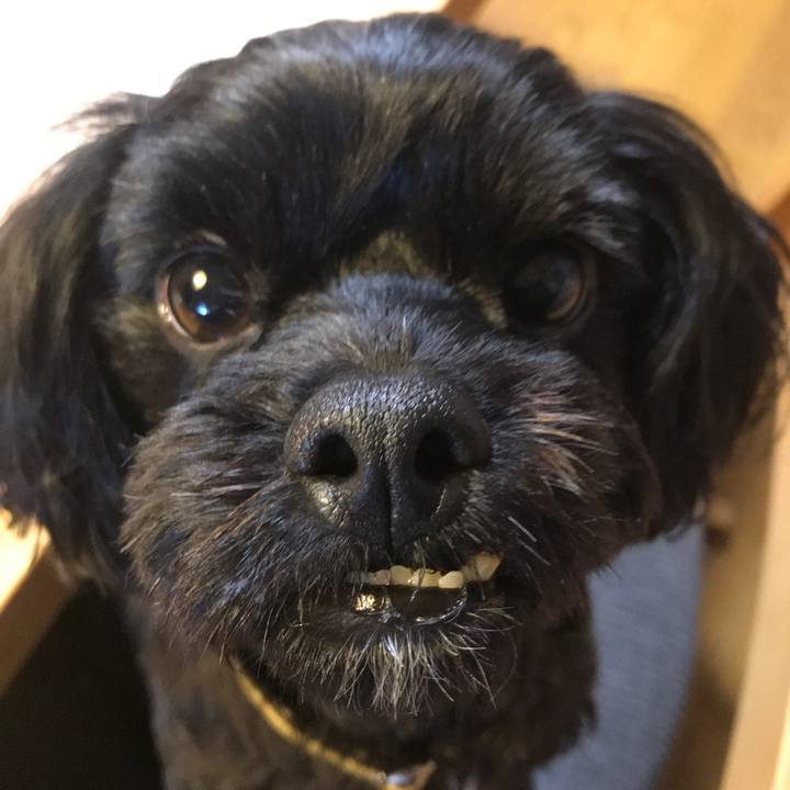 F0ffba29 1bd3 42c6 a0c7 57e9030d84bc 1531976700174