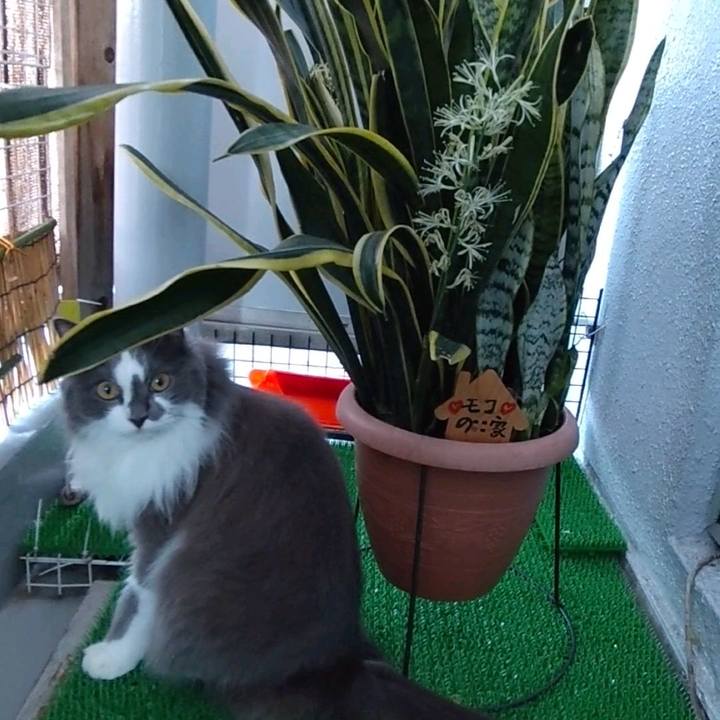 F0ffc1f5 b983 4392 a7c2 376ece33bdb9 1626645264613