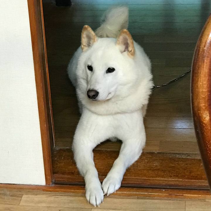 F0ffca7f d569 4c23 85d5 3680c6f471f2 1539468979180