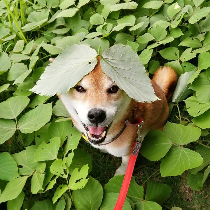 F0ffd00a 75f7 4bda 9e31 7f0987299ea1 1661329169109