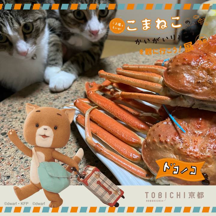 F0ffe2c3 4582 4814 af7d 52646e2fe0b3 1740236927589