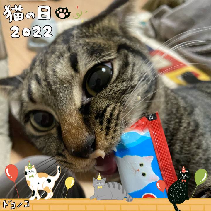 F1000c65 2da8 4587 8199 f2ff26f2d8c0 1645535521512