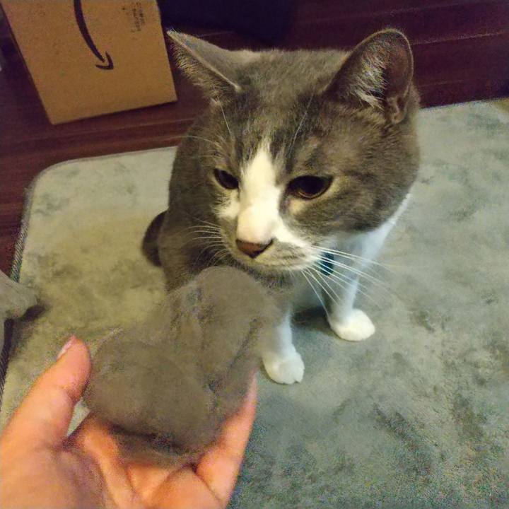 F1001a13 ff6c 4033 a8b7 893365d6a447 1647352294959