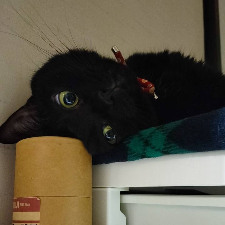 F1001ffd ef83 43cd b95e f215a063e5ec 1665316145690