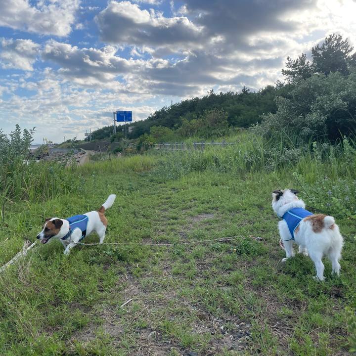 F1004368 8f2f 4ad6 b3c9 d2e95e329a31 1757112448702