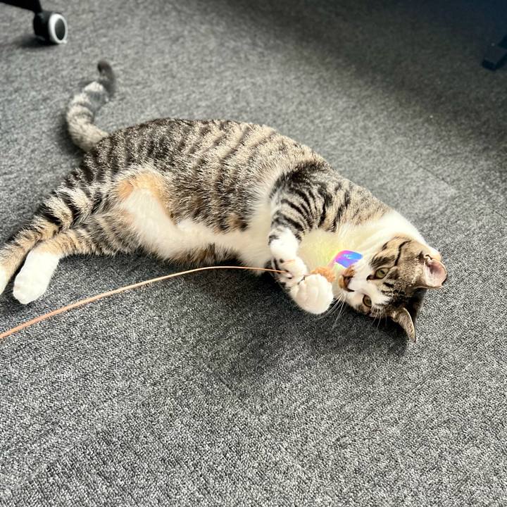 F1005ad4 eae5 4a64 b0b3 9542b4c993ec 1759146511568