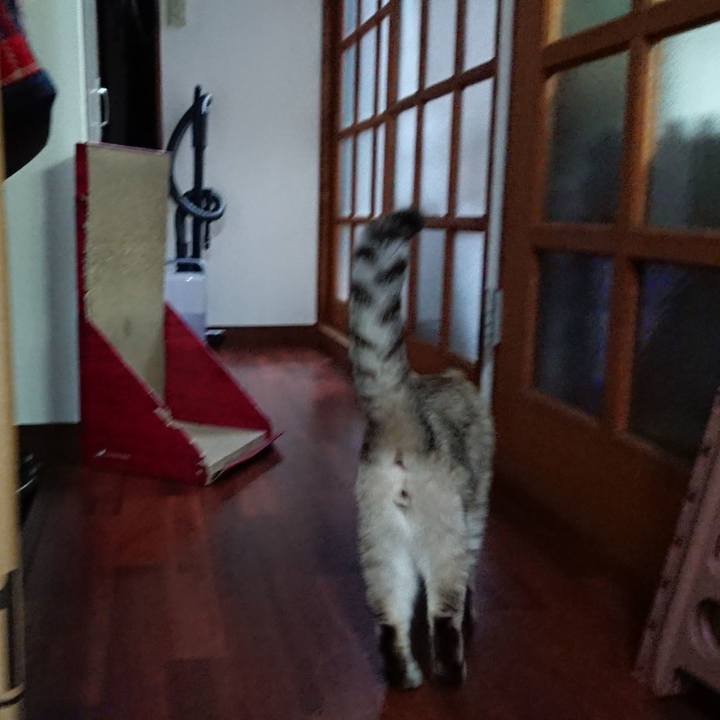 F1007bc4 fff8 4175 bcbb daa6b986a054 1619000589147