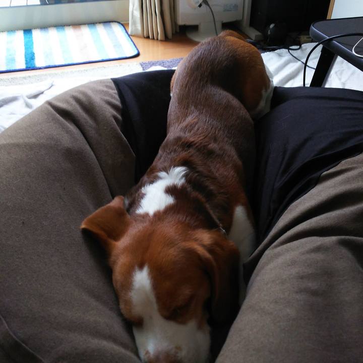 F100930e e090 4c19 a397 0d676b2a4f19 1590131830110