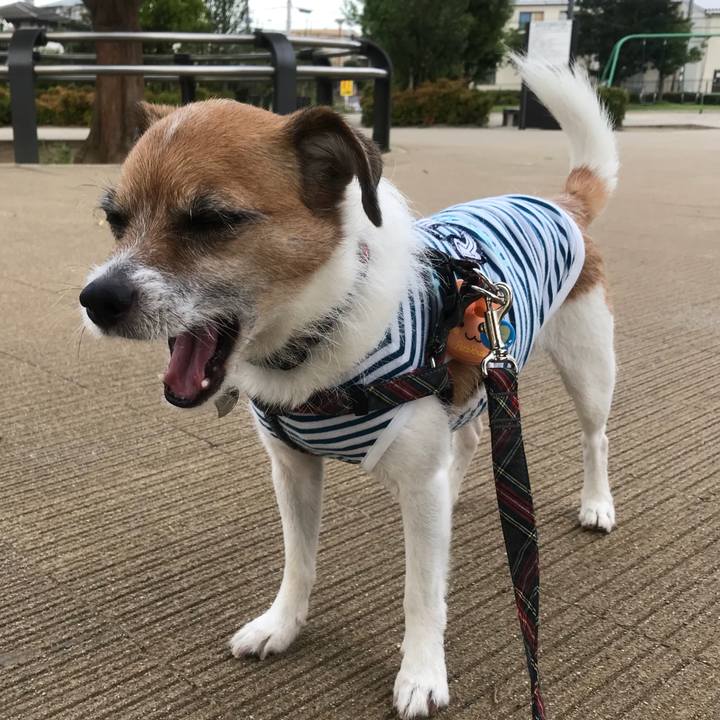 F100a674 c45a 4991 9a88 c2f3f1af0b79 1531302612163