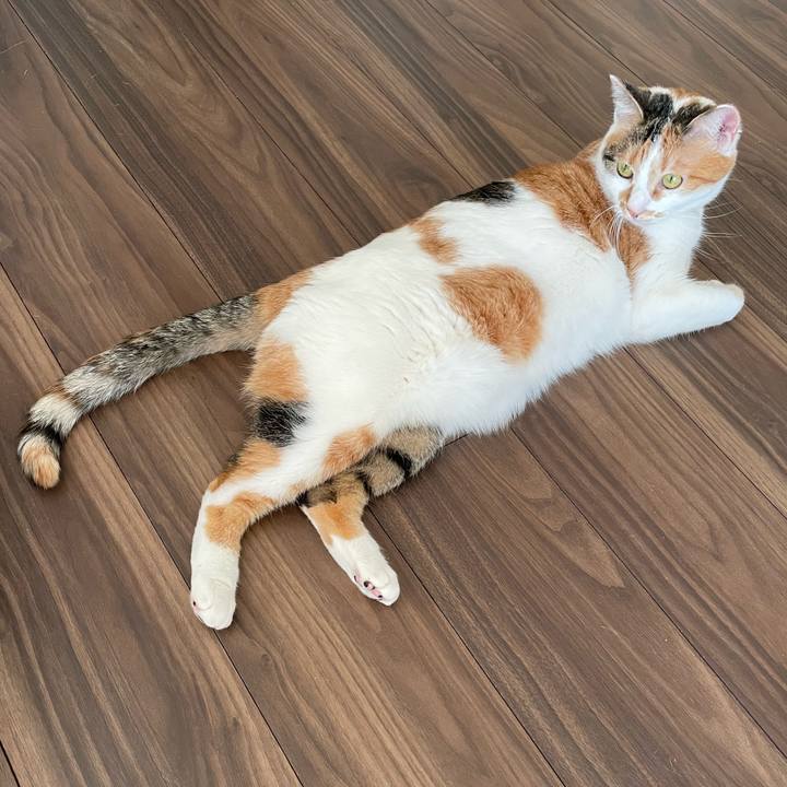 F100af93 84b2 4870 a78b 10fe53523114 1645946177026