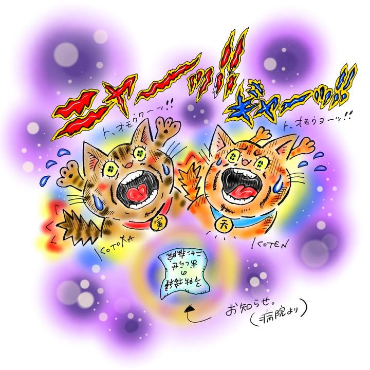 F100d144 c9a2 4613 b94f c26963f4da6e 1598817417063