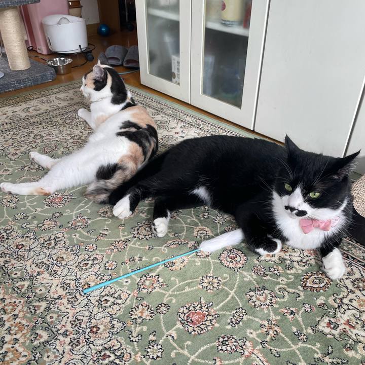 F100e666 f605 412f b70c 1183c0cde739 1750975360893