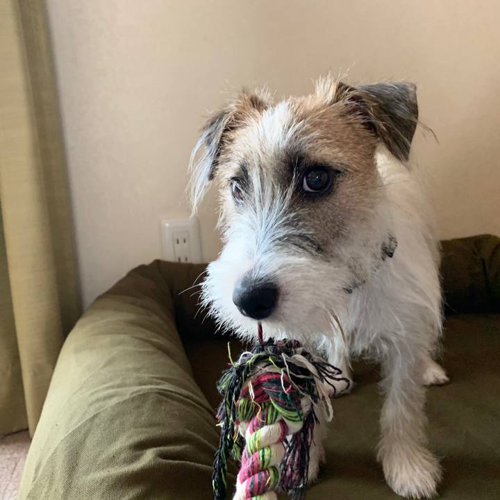 F100ffec 5148 4939 804f 0a39e5b1c5ec 1568074276648