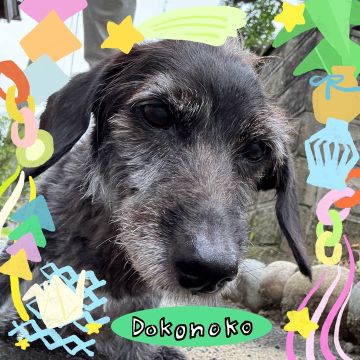 F1011d77 3ab1 487c ba27 bb5b16b8753f 1755214752167