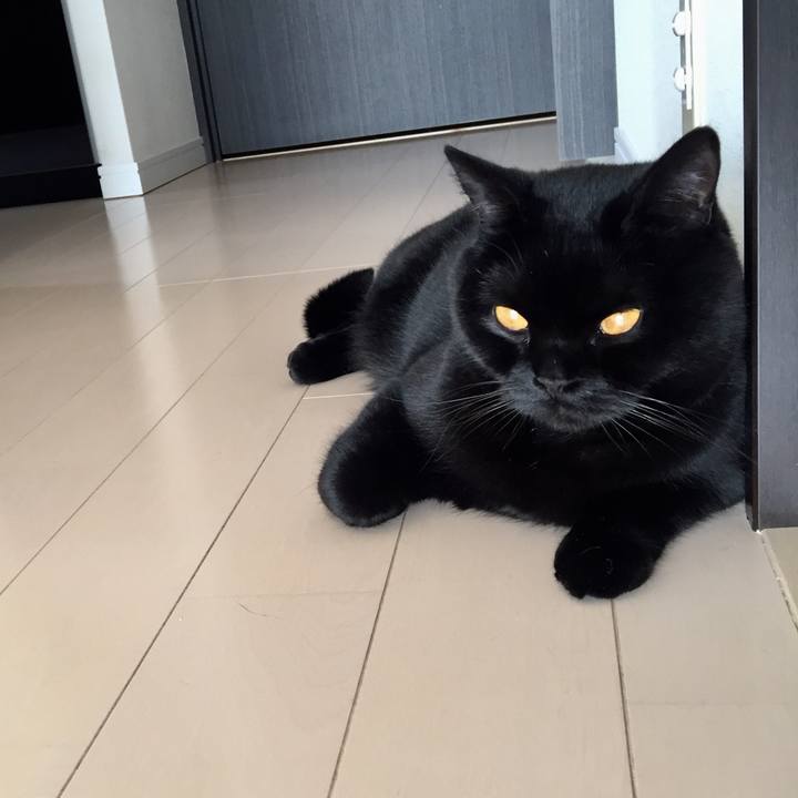 F1012d3f 9fbc 4ebf b57c c9b083975d0c 1553585886837