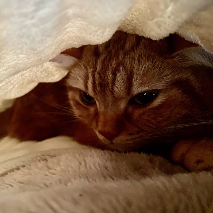 F10135a0 e114 418c b5cf bad49e4e4b3d 1646400205731