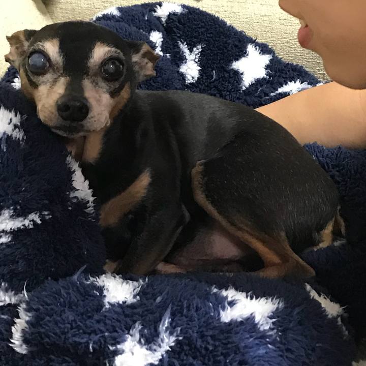 F101a2c3 1e72 43fd 95d5 6d3feb8b75f3 1550788391877