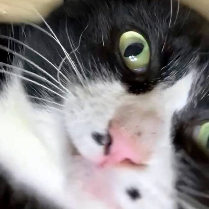 F101ac0e ecb5 4f75 b66e ec141e4901f8 1734493009511