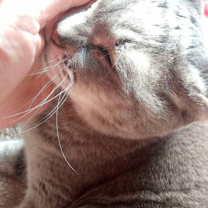 F101d27d 6cb3 4111 958f eece76ff60a2 1676455823916