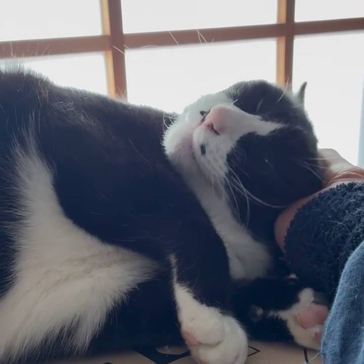 F101e000 024f 40ce 9b02 472d35dab146 1767702160449