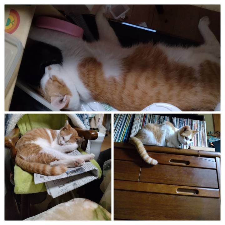 F1020df8 41e9 4aec a212 96083bf96ab0 1735722284268