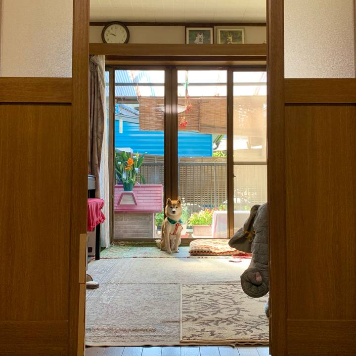 F1024109 dc60 485f 907e 0ae90defda51 1619311679743