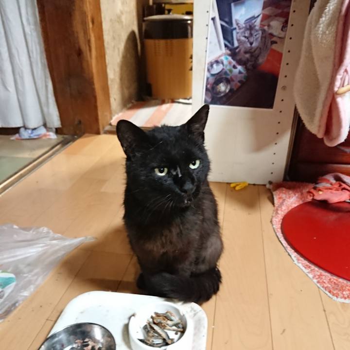 F1025167 1a8d 4fb5 a51d 00af30d584bc 1624103495574