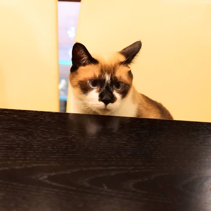 F1025a2d 21dd 44bc 8b6c 059e025239b7 1535356313491