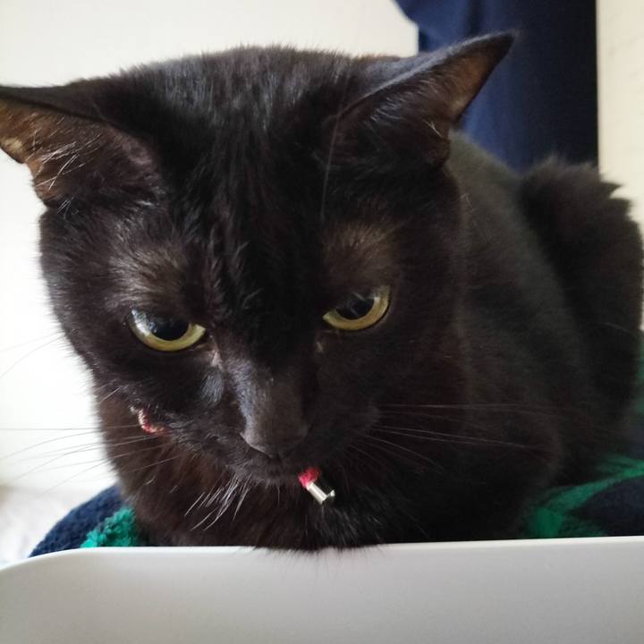 F1026dbc 9492 4e0c 83f0 46882eac71e1 1669761888386