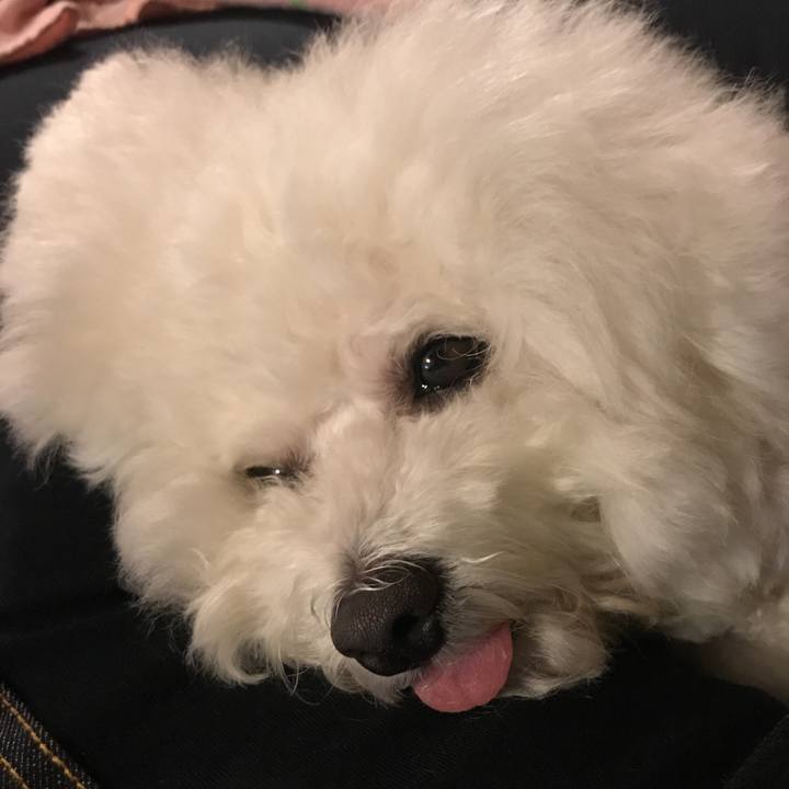 F1029a16 b14f 469c 8707 dd3678efa92e 1544080356370