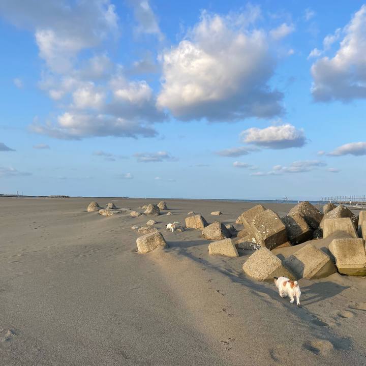 F102b8aa dbcb 4a2f 9cd6 ee51671ff58f 1637366039701