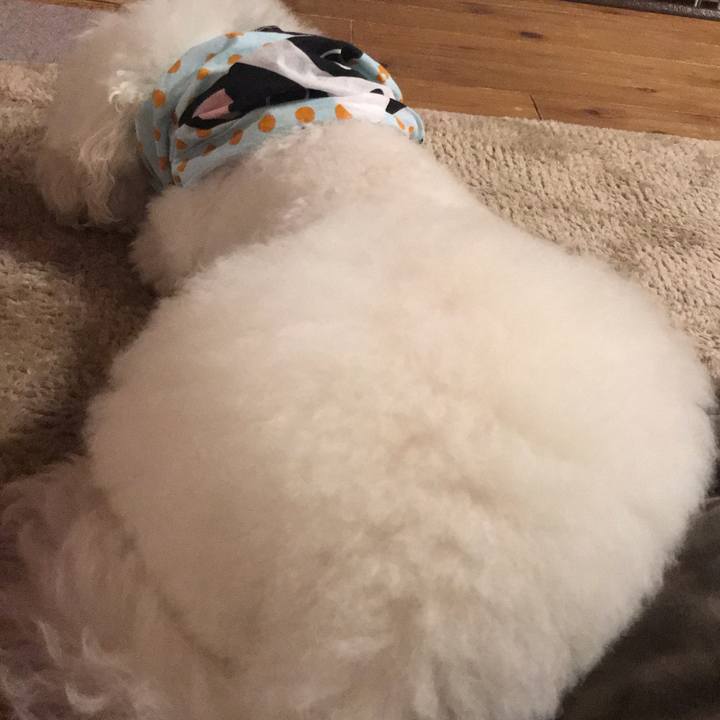 F102dc33 1088 4880 8f02 24dfbb0875b6 1580118768210