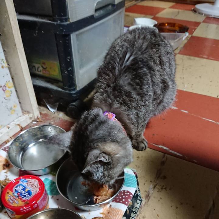 F102fa96 83db 4932 b0c4 7abdd81d8da7 1593340858514