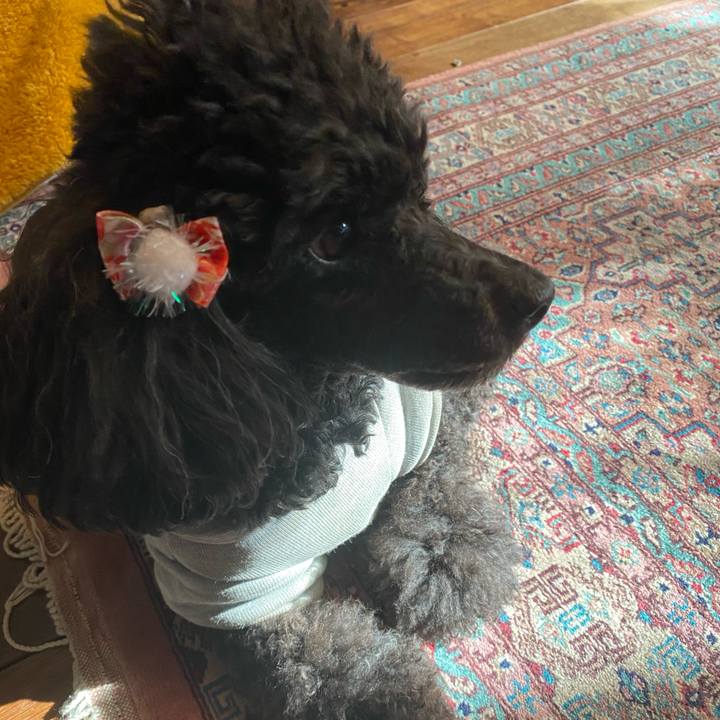 F1030cb0 2e80 4fe3 b043 3d0f17f22bcf 1611136655710