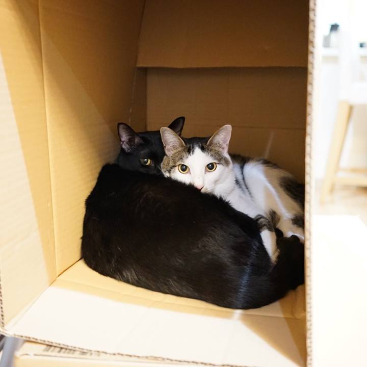 F1037973 a39c 4b87 ad2e 9053a234b5d6 1511920809090