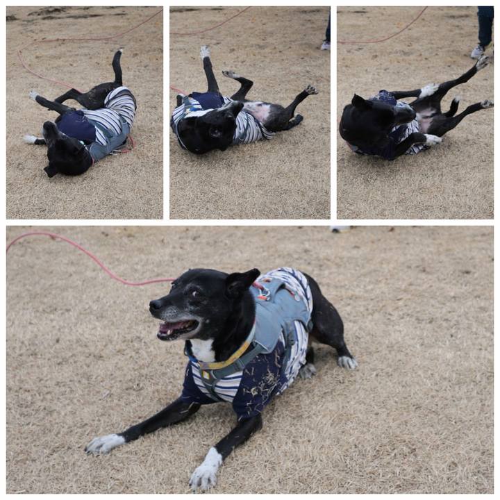 F1038992 4b32 4ffe a23d 1d8758d66b3c 1768093477508