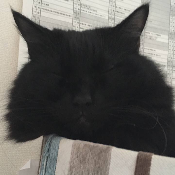 F10404c0 28a1 448d ab9c d25e57acae72 1540449495472