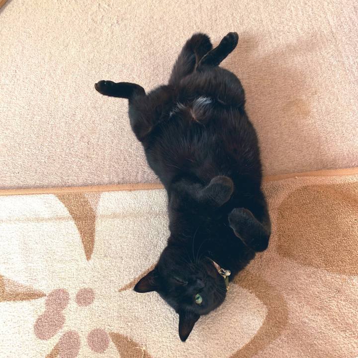 F1043501 bf9d 4af0 a686 1c1243ae3638 1555459695465