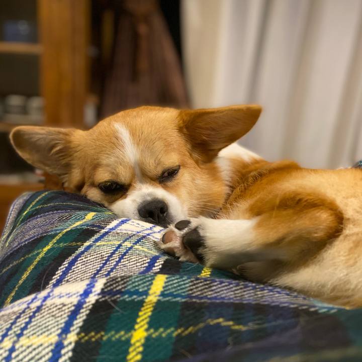 F104981f fe4c 40d6 8d7e a43ca333f1a0 1631367466687