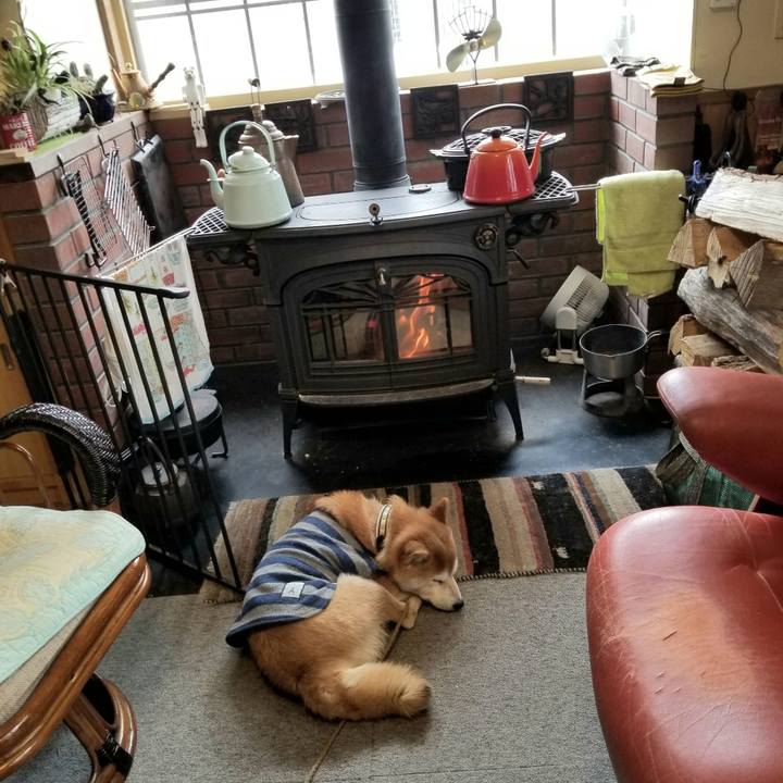 F104b2b3 bed7 4fac 914d 11a616d5fd70 1613437048164