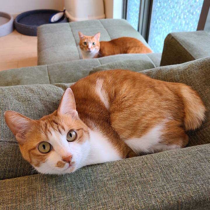 F104c2ab 30c4 4e5e a765 a021356cf887 1650344259422