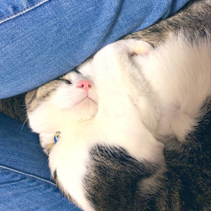 F104cb31 eb01 47d2 8c19 cb3c61ac475a 1545736082151