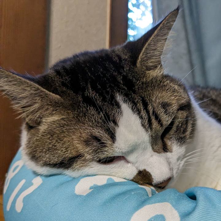 F104f672 aac9 44eb 991a 00e759f9244b 1694356531674