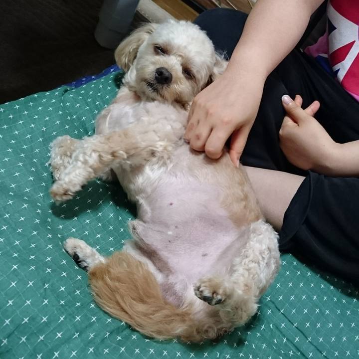 F1053514 5ebe 4fb3 8a39 10688fac3caf 1533695496513