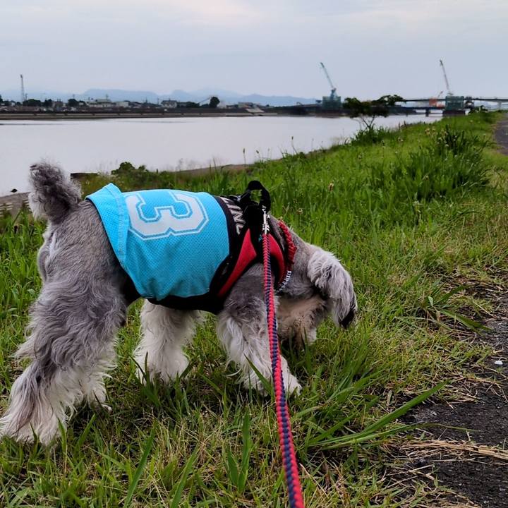 F1055bda dac5 4b01 b08d 19b5ff677751 1749822543386