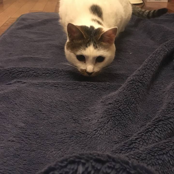 F1056233 8796 4a42 8f17 ea616243306d 1516667307441