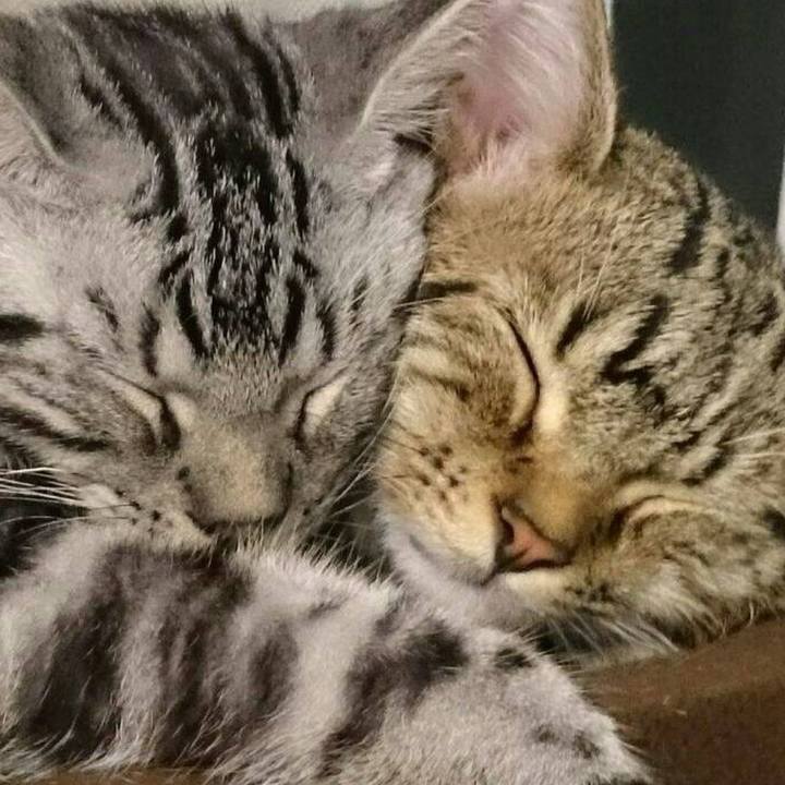 F1056c5d ef3a 456d aebc c3c663b2c6d2 1548132120518