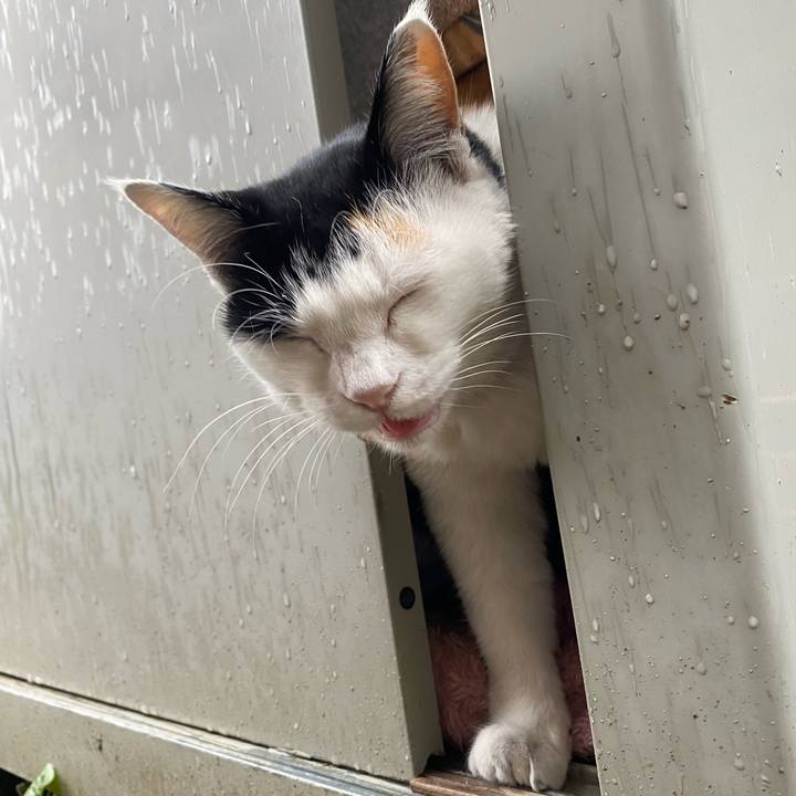 F1057daf b78f 41f4 a4ed 6f084fdb792c 1639652339241